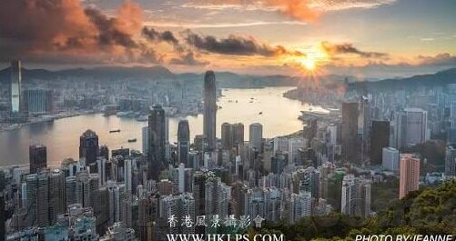 成人福利在线视频-成人福利在线视频，信息时代的多元化娱乐探索