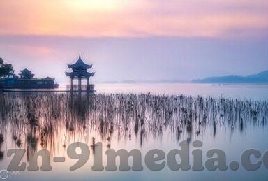 成人在线黄色视频-成人在线黄色视频，网络时代的隐秘角落与伦理考量
