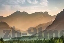 果冻传媒52部免费-探索果冻传媒的52部免费资源，网络时代的文化盛宴