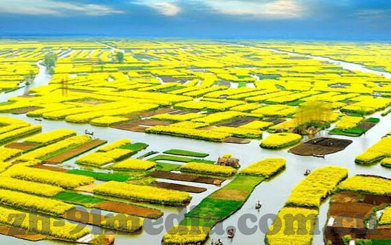 果冻传媒出品视频-探索果冻传媒出品的视频，创意与艺术的完美碰撞