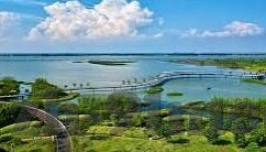 日韩av色-探索日韩文化中的成人娱乐现象，多元视角下的社会与艺术