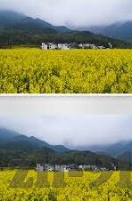 糖心vlog在线免费观看-糖心vlog，在线免费观影的新窗口