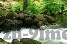 亚洲av成人视频-亚洲文化多样性的另一面，成人视频的多元视角