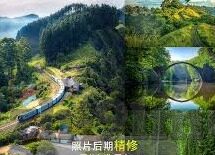 yy4480伦理片-探索网络伦理的灰色地带，yy4480伦理片现象的深思