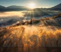 在线成人视频网址-探索成人内容平台的合法边界与个人选择